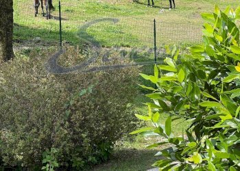 Foto 3 - Casa indipendente via capiria, Caslino d'Erba - foto 3