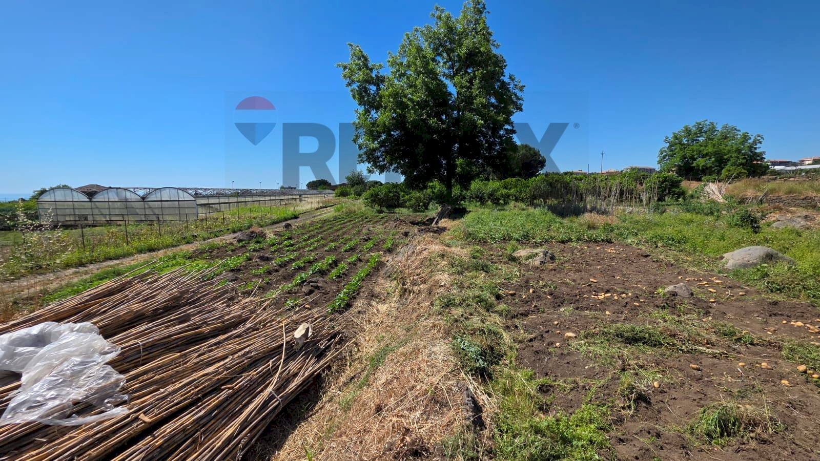 Vista delle montagne - Terreno agricolo Via Ugo Foscolo
68/C, Giarre - foto 3