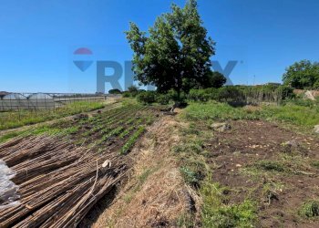 Vista delle montagne - Terreno agricolo Via Ugo Foscolo
68/C, Giarre - foto 3