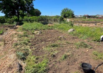 Giardino - Terreno agricolo Via Ugo Foscolo
68/C, Giarre - foto 5