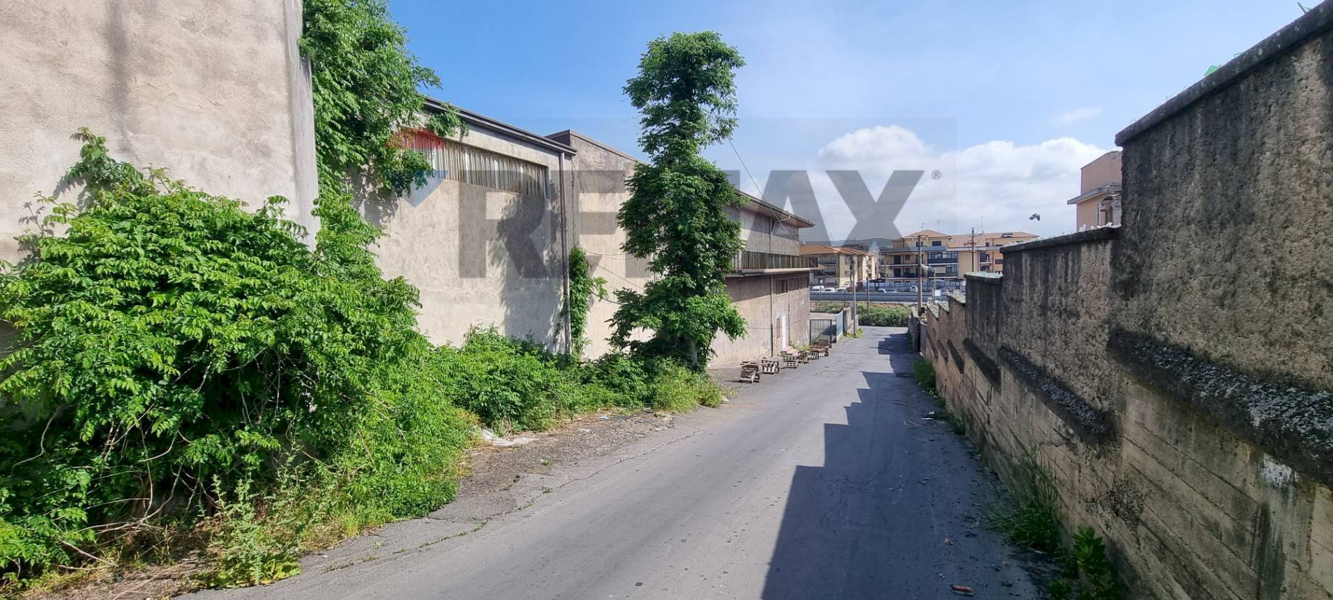 Edificio all\'aperto - Capannone Via Giosuè Carducci
6, Motta Sant'Anastasia - foto 2