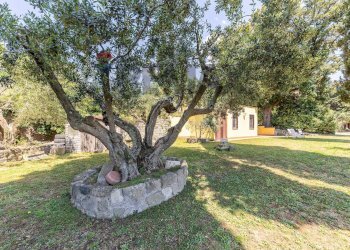 Giardino - Villa Via Anagnina
 
31, Grottaferrata - foto 72