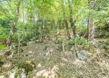 Giardino - Villa Via Belli
 
7, Nepi - foto 31