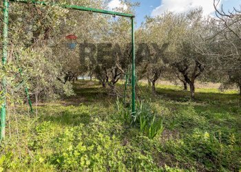 Giardino - Semi-detached house Via Spescia
 
18, Cupramontana - photo 5