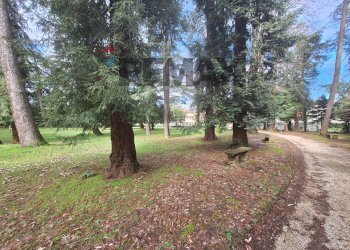 Giardino - Rustic Montale - photo 9