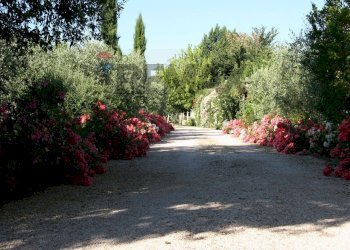 Giardino - Villa VIA OMBROSA
4, Assisi - photo 81