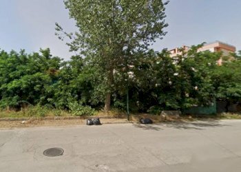 Edificio all\'aperto - Terreno agricolo Via MAURO CALVANESE
65, Casoria - foto 3