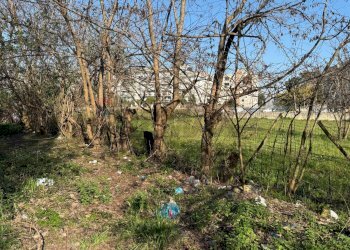 Giardino - Terreno agricolo Via MAURO CALVANESE
65, Casoria - foto 11