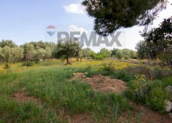 Giardino - Rustico via per Canicattini
 
250, Canicattini Bagni - foto 16