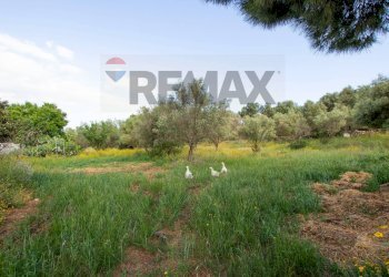 Giardino - Rustico via per Canicattini
 
250, Canicattini Bagni - foto 17