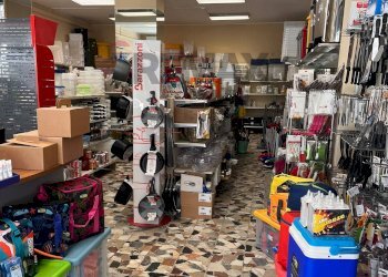 Dispensa di stoccaggio - Negozio via Boiardo
 
45, Cagliari - foto 7