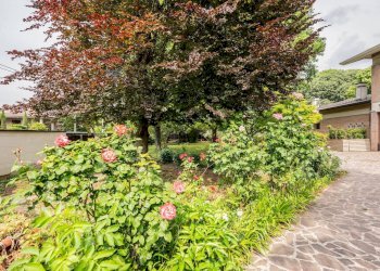 Giardino - Casa semi indipendente VIA VITTORIO ALFIERI
10, Porto Mantovano - foto 101