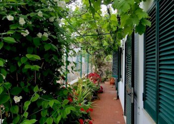Terrazza - Villa Anacapri - photo 11