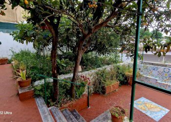 Terrazza - Villa Anacapri - photo 13