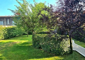 Giardino - Trilocale via Ambrogio da Fossano
 
34, Pavia - foto 29