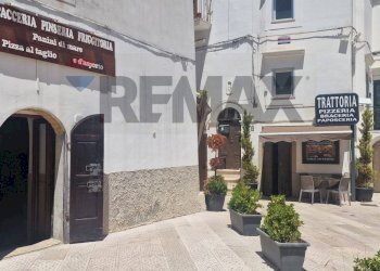 Edificio all\'aperto - Commercial Premises Piazza Roma
2, Vieste - photo 2