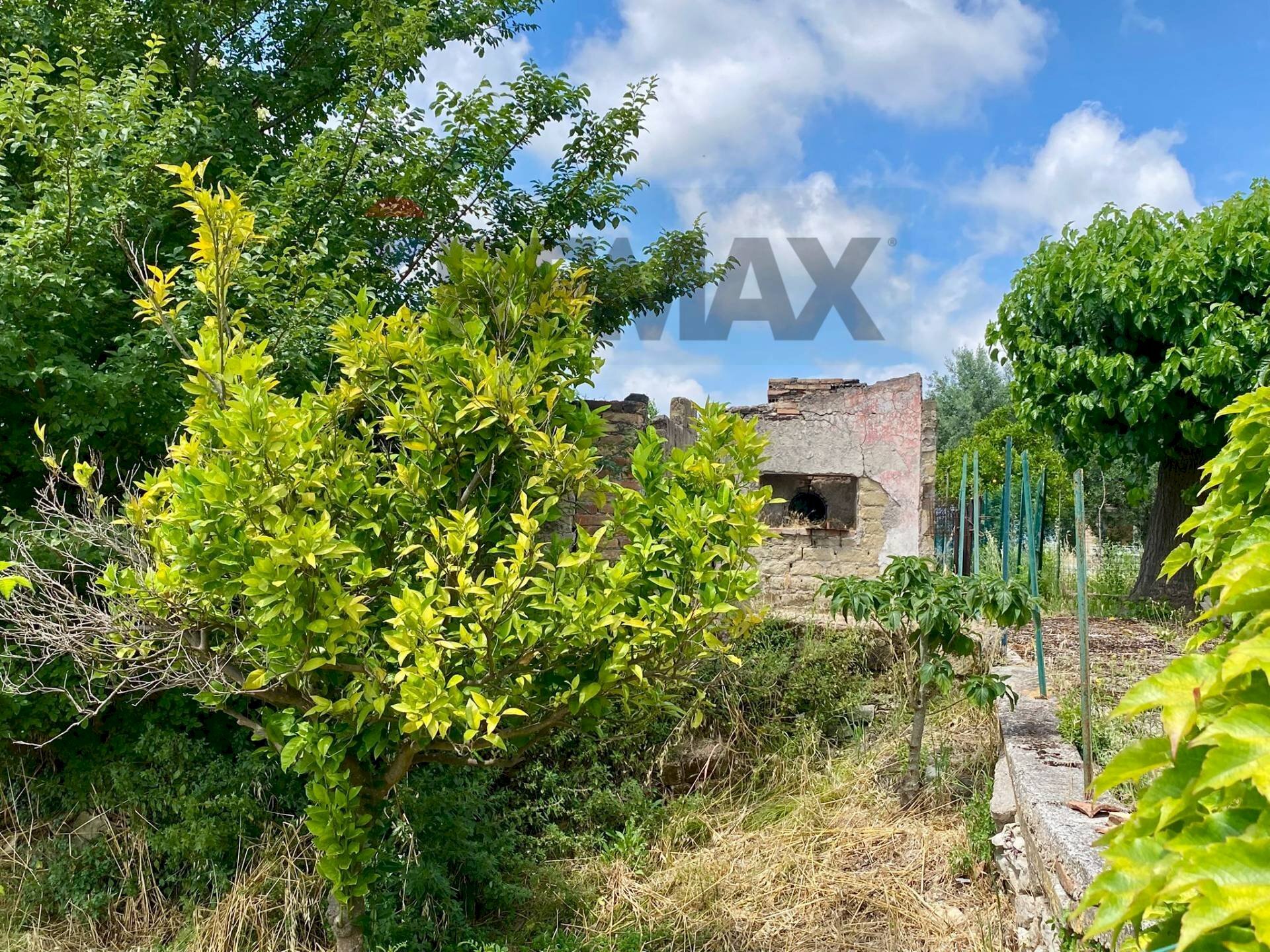 Giardino - Independent house Santi Cosma e Damiano - photo 2