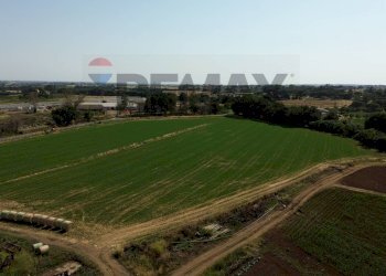 Edificio all\'aperto - Farm VIA DI TRAGLIATELLA
144, Roma - photo 24