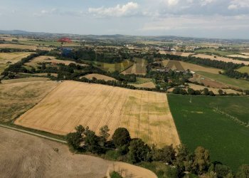 Vista delle montagne - Farm VIA DI TRAGLIATELLA
144, Roma - photo 31