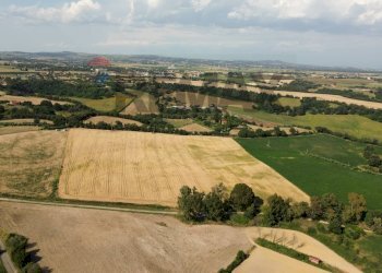 Vista delle montagne - Farm VIA DI TRAGLIATELLA
144, Roma - photo 32
