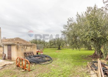 Giardino - Independent house Contrada Piano Mondello
 
4 A, Chiaramonte Gulfi - photo 3