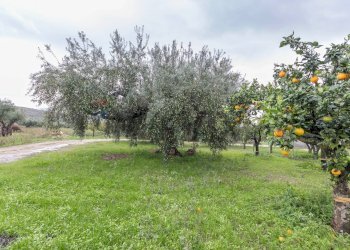 Giardino - Independent house Contrada Piano Mondello
 
4 A, Chiaramonte Gulfi - photo 16