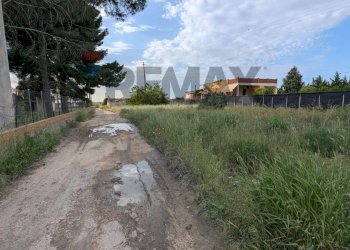 Giardino - Rustic Strada provinciale 98, Vittoria - photo 3