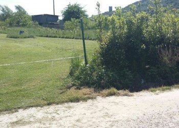 Foto 1 - Agricultural land Via Carlo Matteucci, Pisa - photo 1