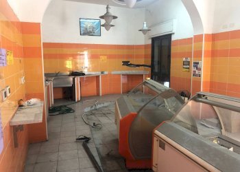 Foto 4 - Attività Commerciale via montanelli, Pisa - foto 4