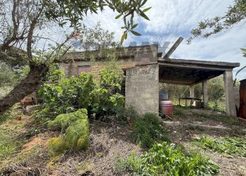 Casa all\'aperto - Villa Contrada grassuri di Valguarnera
 
snc, Partinico - photo 2