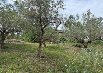 Giardino - Villa Contrada grassuri di Valguarnera
 
snc, Partinico - photo 12