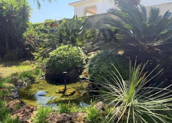 Giardino - Villa Via Belice
 
10, Valderice - foto 11