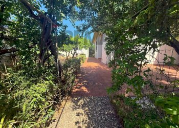 Giardino - Villa Via Belice
 
10, Valderice - foto 14