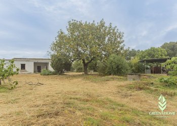 Foto 17 - Casa indipendente Via San Macario, Pula - foto 17