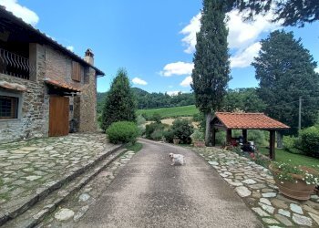 Foto 13 - Rustico località Dudda, Greve in Chianti - foto 13