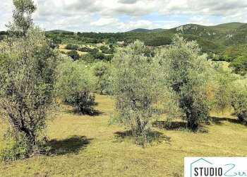 Foto 4 - Terreno agricolo rimembranze
 
22, Amelia - foto 4