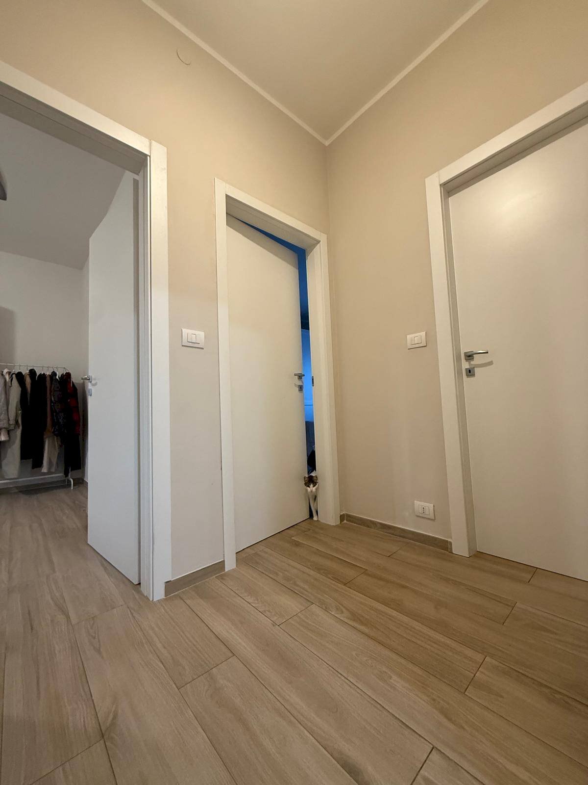 Foto 2 - Appartamento Via Circondaria Sud, Castelfranco Emilia - foto 2
