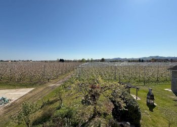 Foto 25 - Appartamento Via Modenese
1705, Vignola - foto 25