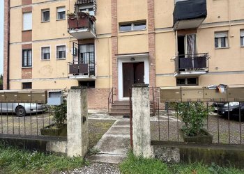 Foto 1 - Trilocale via mavora
 
115, Castelfranco Emilia - foto 1