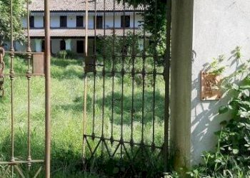 Terreno - Rustico via Pozzolo, Montegrosso d'Asti - foto 29