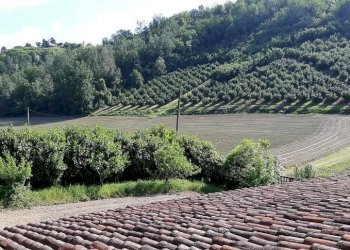 Vista - Rustico via Pozzolo, Montegrosso d'Asti - foto 30