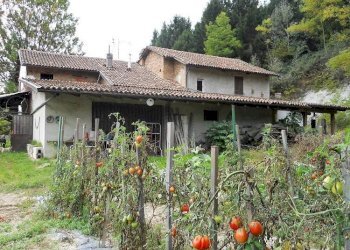 Terreno - Rustico via Pozzolo, Montegrosso d'Asti - foto 36