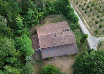 Terreno - Rustic via Pozzolo, Montegrosso d'Asti - photo 10
