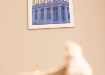 Altro - Quadrilocale via Portoferraio, 4, Milano - foto 46