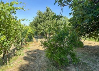 Terreno - Casa indipendente viale dell'Appennino, Forlì - foto 28
