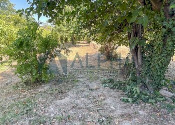 Terreno - Casa indipendente viale dell'Appennino, Forlì - foto 29