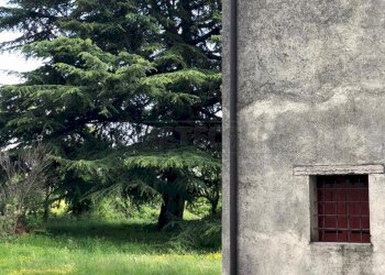 27 - Rustico Via Brocchi 12, Bassano del Grappa - foto 29