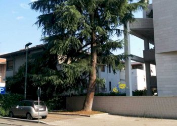ESTERNO - Appartamento Strada Casa Bianca 42, Parma (zona San Lazzaro) - foto 3