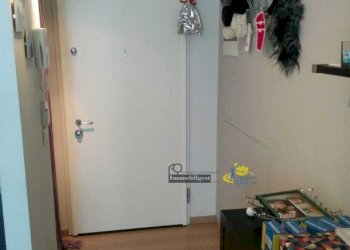 INGRESSO - Appartamento Strada Casa Bianca 42, Parma (zona San Lazzaro) - foto 5