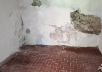 IMG_20260519_095849 - Portion of a house Via Vidiana 34, Langhirano - photo 5